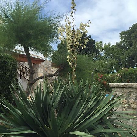 Stancieta Ulrihi Villa Marasi Dış mekan fotoğraf