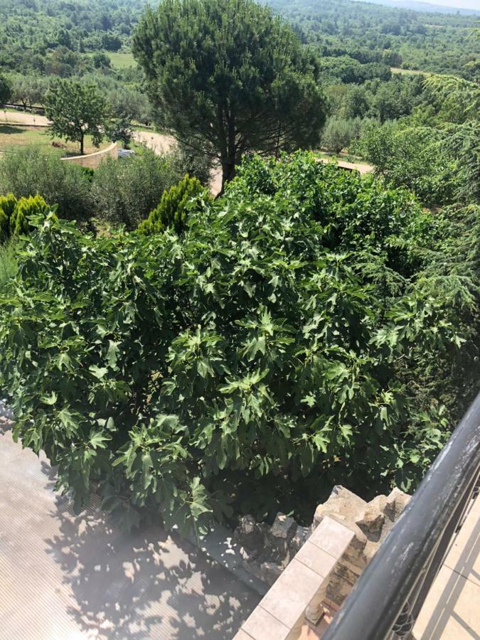 Stancieta Ulrihi Villa Marasi Dış mekan fotoğraf